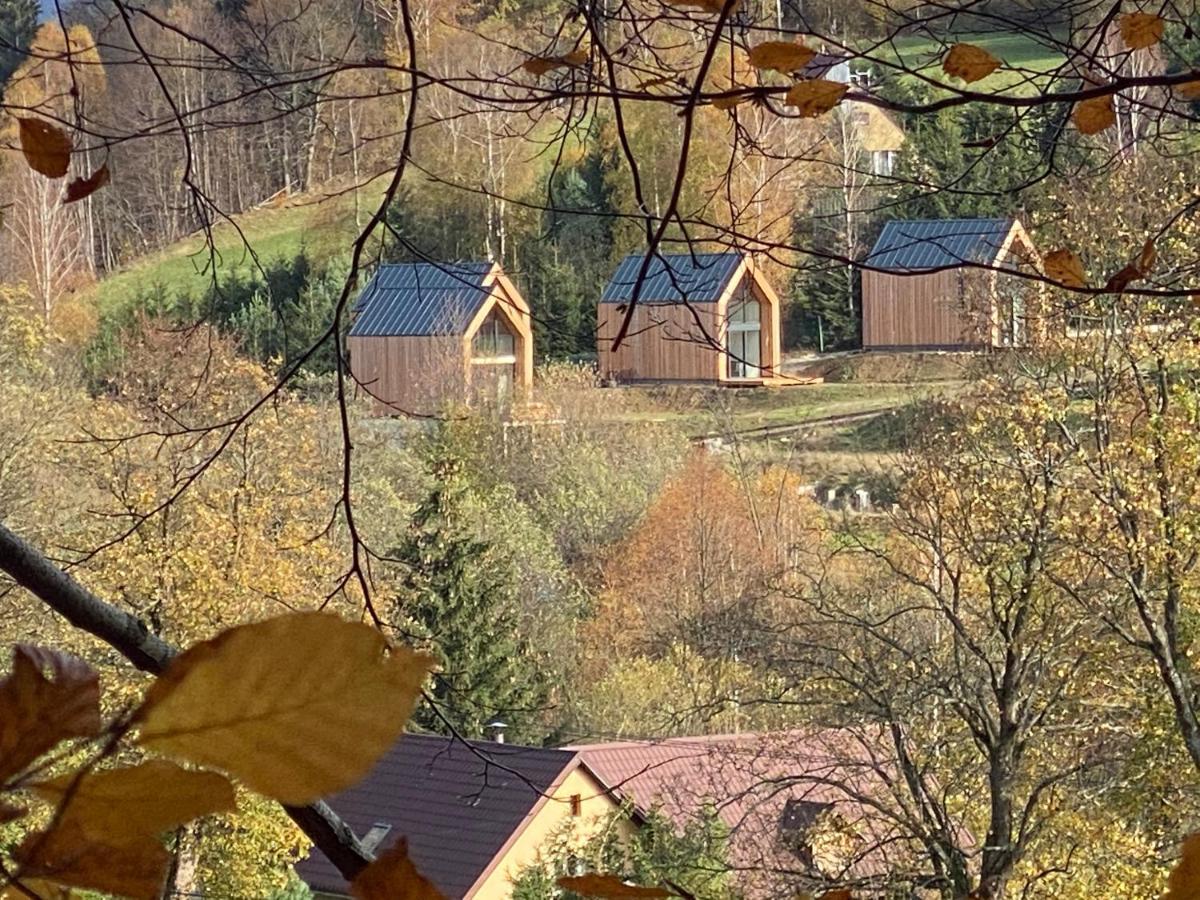 Domki Pod Lasem - Domek Sosnowy Stronie Śląskie Dış mekan fotoğraf
