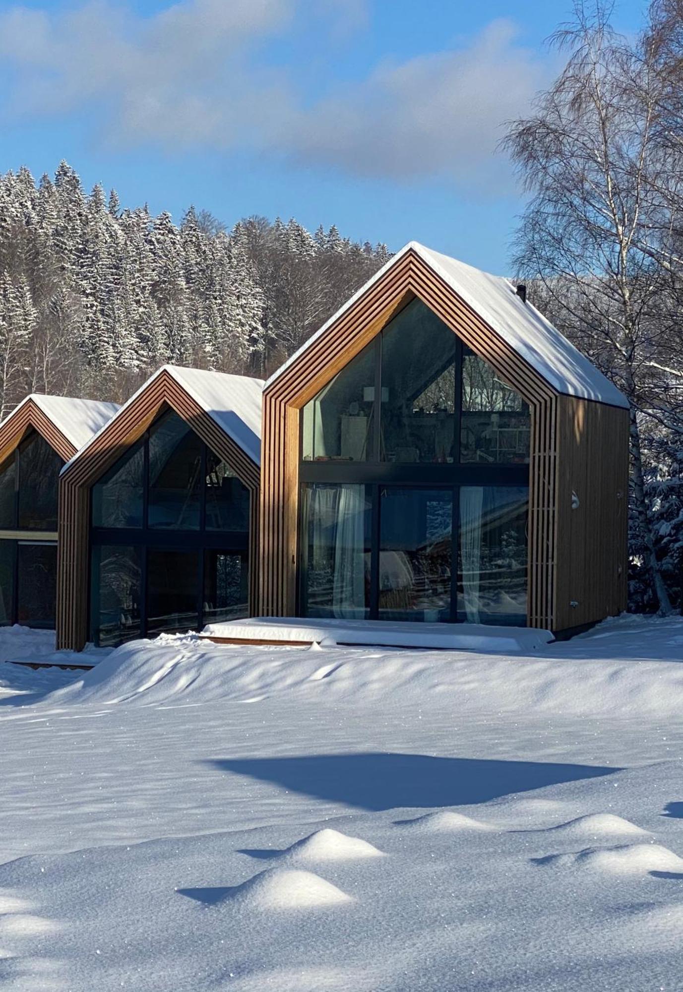Domki Pod Lasem - Domek Sosnowy Stronie Śląskie Dış mekan fotoğraf